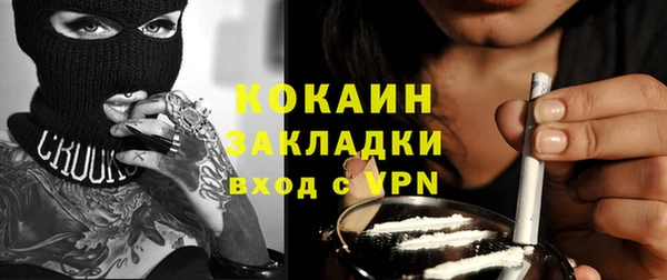 прущие грибы Абинск
