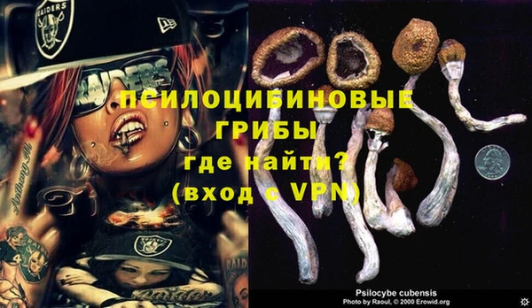 соль ск Абаза