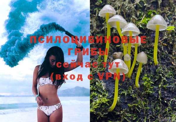 соль ск Абаза