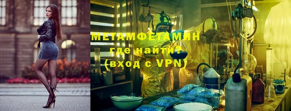 прущие грибы Абинск