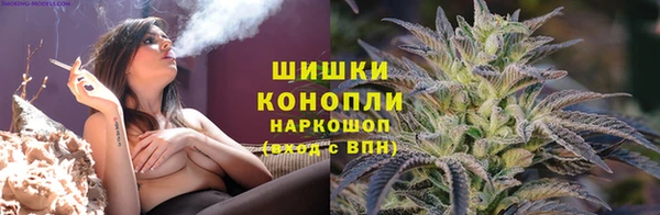 соль ск Абаза